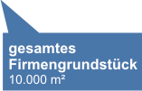 Gesamtes Firmengrundstck 10.000 m